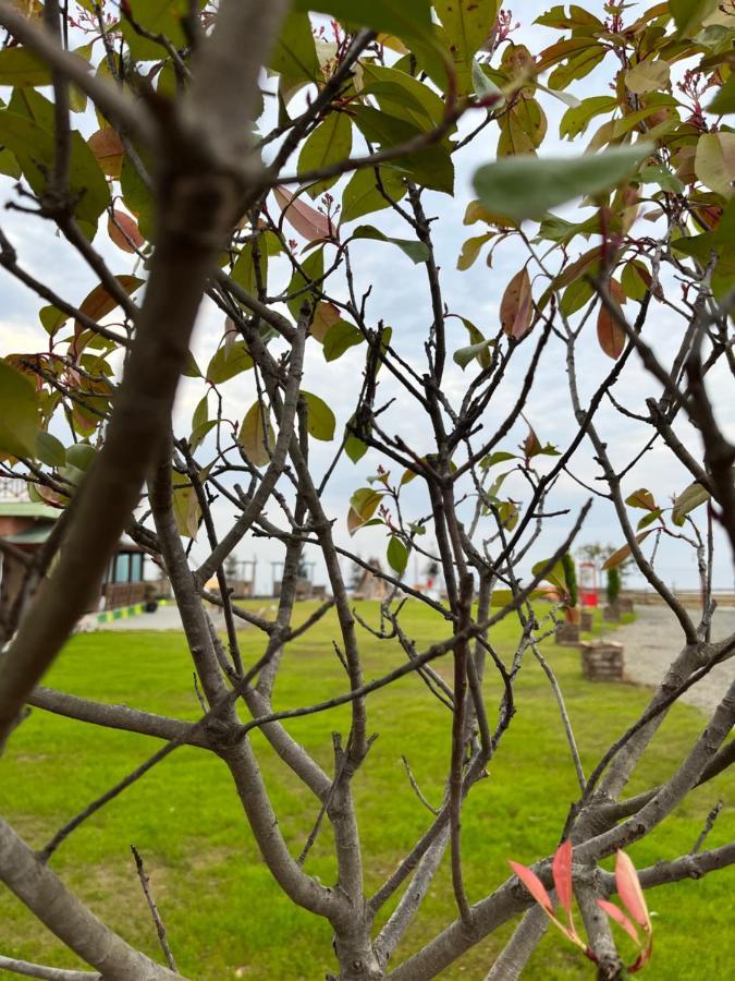 Lifoz Holiday Resort Trabzon Buitenkant foto